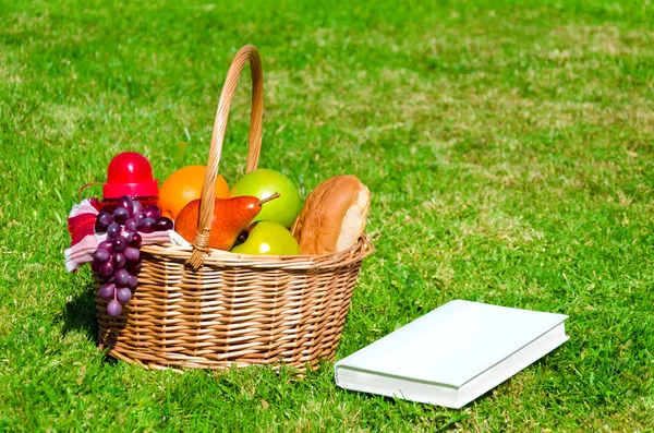 Picnic basket with fruits and book — Stock Photo, Image