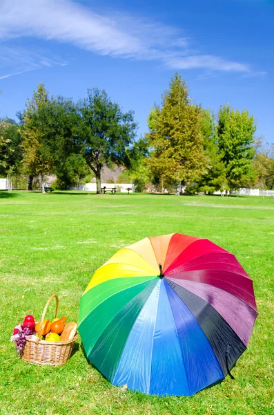 Regenschirm und Picknickkorb — Stockfoto