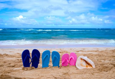Flip flop okyanus yanındaki renk