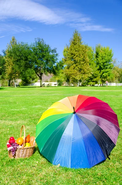 Regenschirm und Picknickkorb — Stockfoto