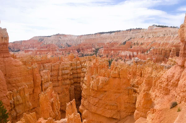 Parque Nacional Bryce Canyon — Fotografia de Stock