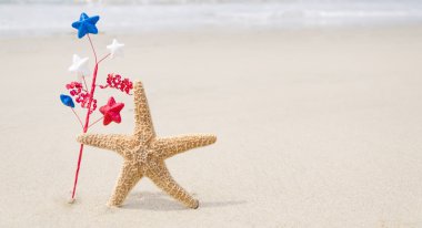 Vatansever ABD arka plan ile starfishes
