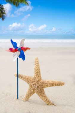 Vatansever ABD arka plan ile starfishes