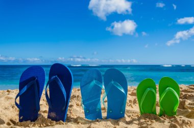 Colorful flip flops on the sandy beach clipart