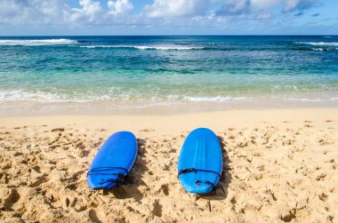 İki Surfboards Hawaii kum plajındaki