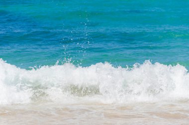 Okyanus ve tropikal kumlu plaj arka plan