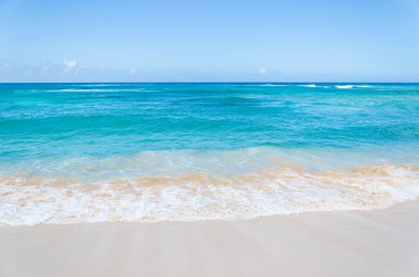 Okyanus ve tropikal kumlu plaj arka plan