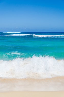Ocean and tropical sandy beach background clipart