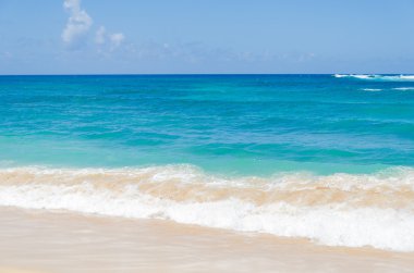 Ocean and tropical sandy beach background clipart