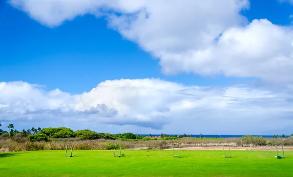 Golf field background — Stock fotografie