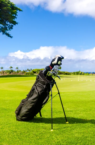 Clubs de golf fond — Photo