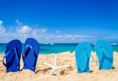 Kumsaldaki deniz yıldızı