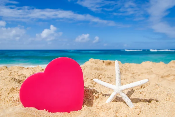 Stella marina con grande cuore sulla spiaggia di sabbia — Foto Stock