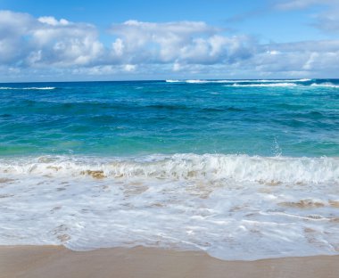 Okyanus ve tropikal kumlu plaj arka plan