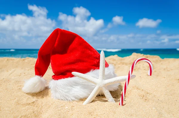 Tropikal plaj Noel ve yeni yıl arka plan