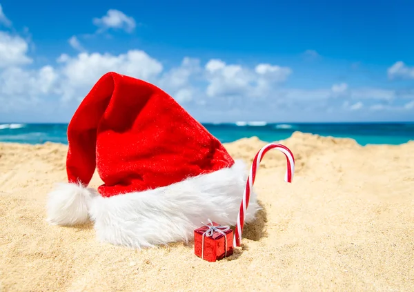Tropikal plaj Noel ve yeni yıl arka plan