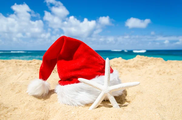 ᐈ Beach Stock Pictures Royalty Free Beach Christmas Pics Download On Depositphotos ᐈ Beach Stock Pictures Royalty Free Beach Christmas Pics Download On Depositphotos