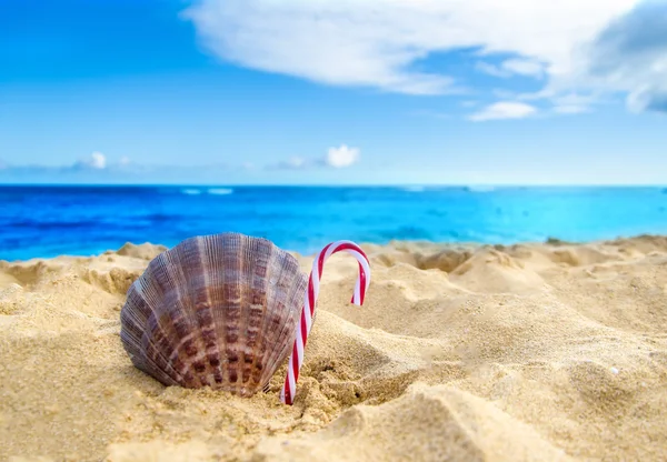 Praia tropical Natal e Ano Novo fundo — Fotografia de Stock