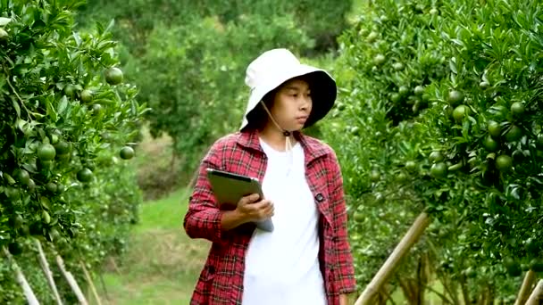タブレットを手にした若い女性農家は 有機オレンジ農園で働いています スマート農業のための近代的な技術 — ストック動画