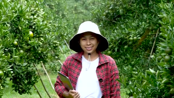 Jovens Agricultoras Com Tablet Mão Trabalhando Plantação Familiar Laranja Orgânica — Vídeo de Stock