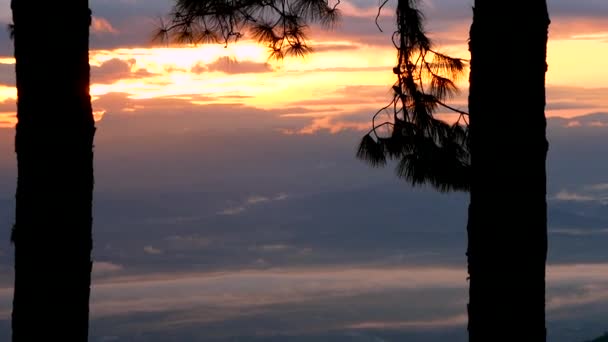 Paisaje Del Hermoso Cielo Con Luz Dorada Brilla Través Las — Vídeos de Stock