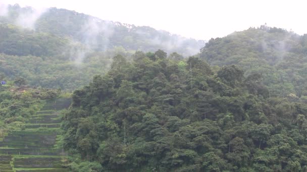 Der Blick Auf Die Grüne Natur Berg Strömenden Regen Unberechenbares — Stockvideo