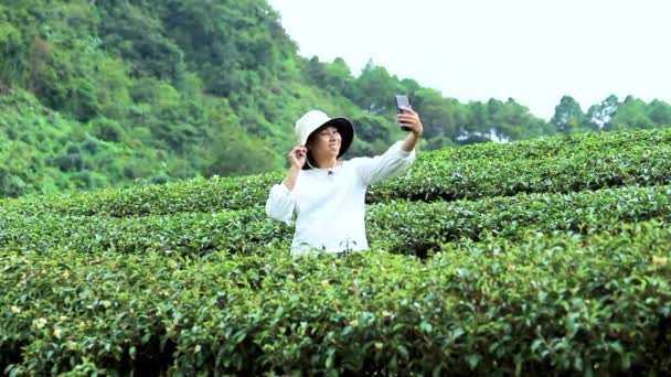 Felice Giovani Turisti Femminili Prendendo Selfie Con Suoi Smartphone Godendo — Video Stock