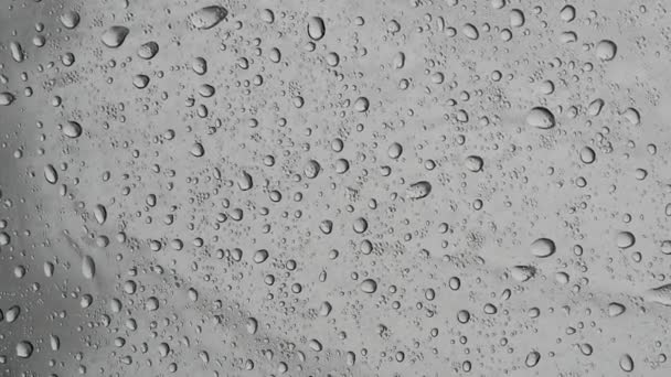 Gotas Lluvia Gotas Agua Sobre Vidrio Transparente Sobre Fondo Naturaleza — Vídeo de stock