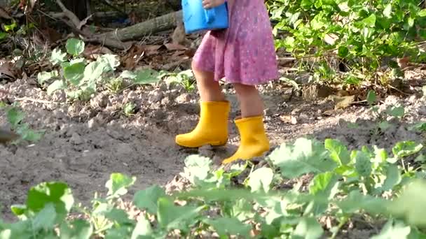 Primer Plano Piernas Niños Felices Botas Amarillas Están Regando Las — Vídeo de stock