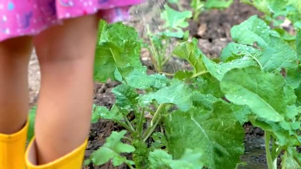 노란색 장화를 어린이들의 발목을 다리는 뜰에서 재배하는 야채에 — 비디오