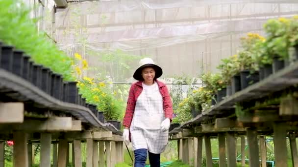 Jovens Agricultoras Felizes Avental Trabalhando Floricultura Crescendo Uma Estufa — Vídeo de Stock