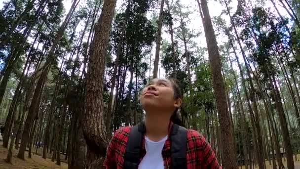 Genç Bayan Gezgin Ormanda Doğa Manzarasının Tadını Çıkarıyor — Stok video