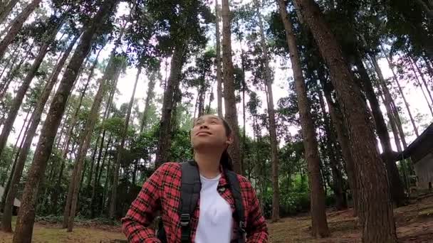 Genç Bayan Gezgin Ormanda Doğa Manzarasının Tadını Çıkarıyor — Stok video