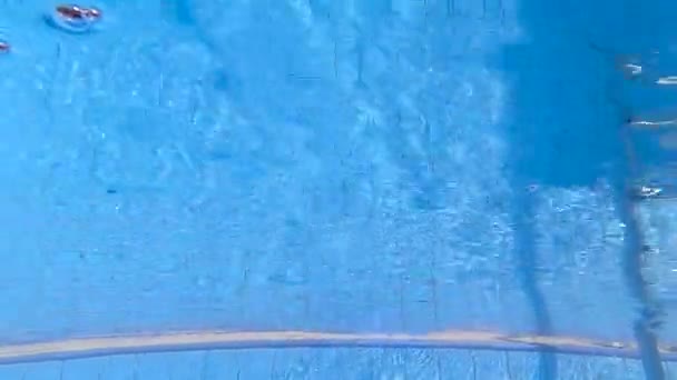 Yüzme Havuzuna Dalan Mutlu Kız Çocuğu Aile Yaz Tatili — Stok video