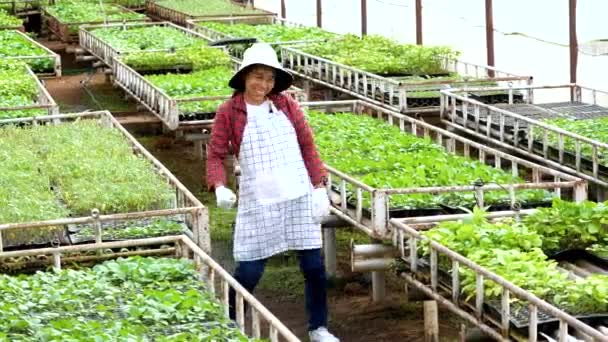 Jóvenes Agricultores Felices Delantal Trabajando Invernadero Tecnología Moderna Para Agricultura — Vídeos de Stock