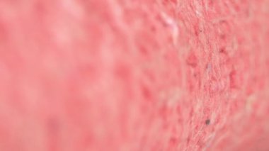 Kırmızı battaniyenin dokusunu kapat. Seçici odak.