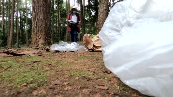 Gönüllülerin Çoğu Milli Parktaki Çöpleri Topluyor Çevre Plastik Kirliliği Dünya — Stok video