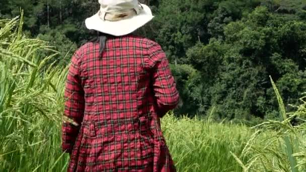 Mujer Joven Campesina Con Camisa Cuadros Roja Con Tableta Mano — Vídeos de Stock