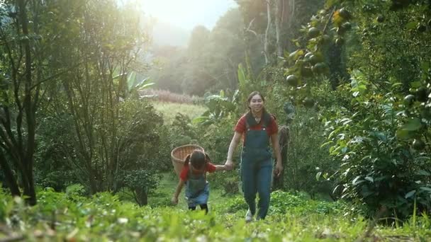Madre Feliz Con Hija Disfrutando Tiempo Familia Plantación Naranjas Una — Vídeo de stock