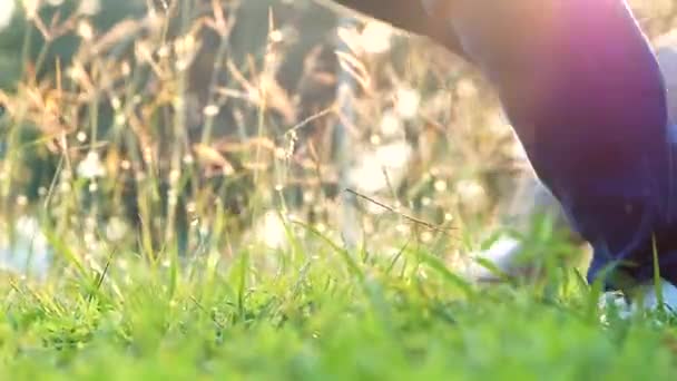 Lycklig Mamma Och Hennes Döttrar Leker Och Skrattar Gräsmattan Sommarparken — Stockvideo