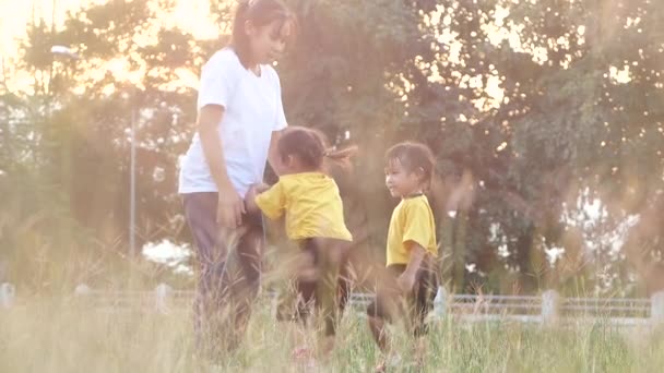 Feliz Madre Sus Hijas Jugando Riendo Césped Parque Verano Familia — Vídeos de Stock