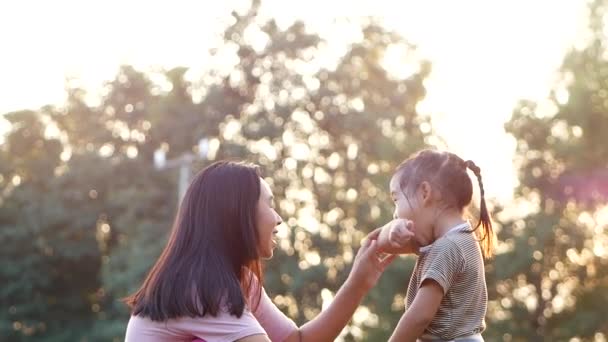 夏天的公园里 快乐的妈妈在草坪上笑着拥抱她的小女儿 一家人在一起度假 — 图库视频影像