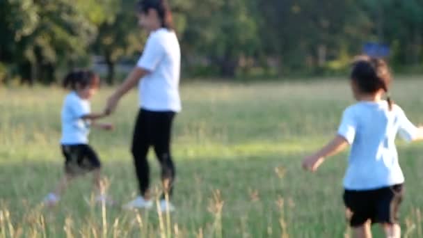 Duas Meninas Mãe Exercitando Juntos Parque Verão Livre Saúde Família — Vídeo de Stock