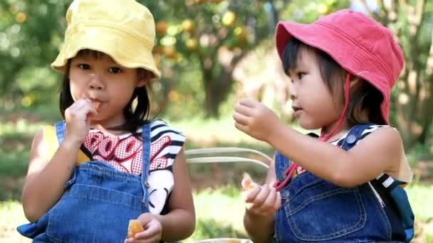 Two Lovely Girls Sitting Grass Eating Fresh Oranges Fruits Collected — Vídeos de Stock