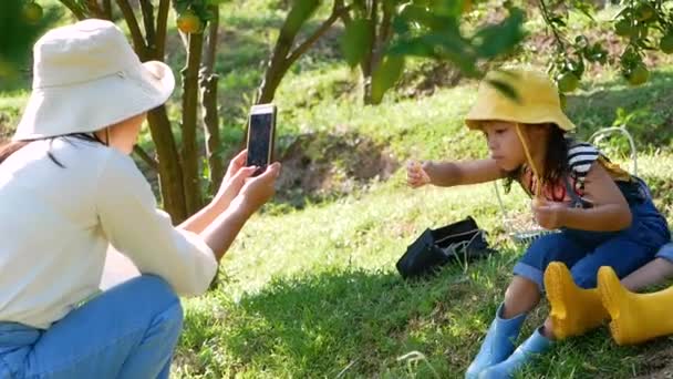 年轻的母亲用智能手机给两个可爱的女儿拍照 她们坐在橙色的花园里 家庭旅行和度假生活方式 — 图库视频影像