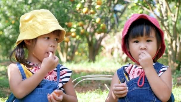 Two Lovely Girls Sitting Grass Eating Fresh Oranges Fruits Collected — Stockvideo