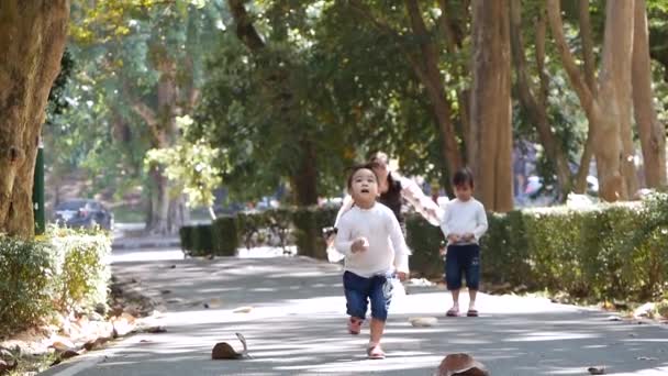 Mãe Feliz Suas Filhas Brincando Rindo Juntas Parque Verão Estilo — Vídeo de Stock