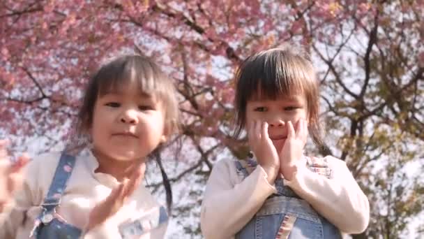 Twee Schattige Kleine Meisjes Genieten Met Natuur Sakura Bomen Achtergrond — Stockvideo