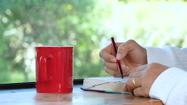 Happy Young Woman Sat Window Reading Book Enjoying Hot Coffee — Stock Video