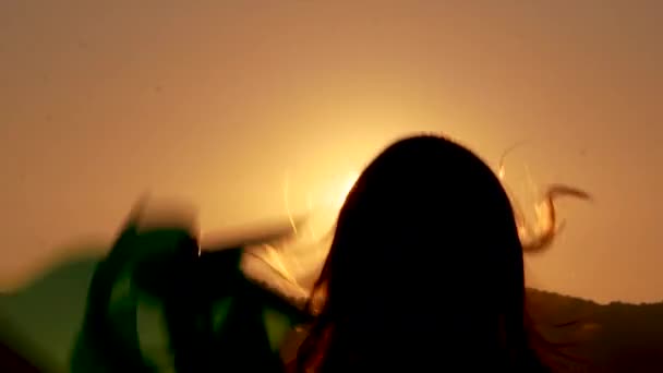 夏日黄昏时分 一个小女孩在花田里玩风车时的侧影 — 图库视频影像
